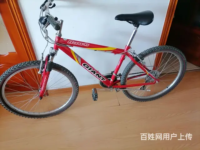 捷安特钢架公路自行车 - 图片 1