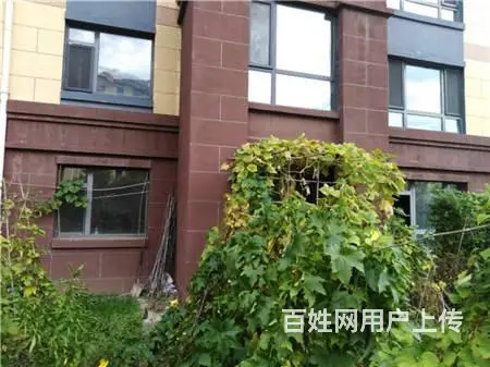 绿谷庄园132平一楼带花园楼房出售 - 图片 10