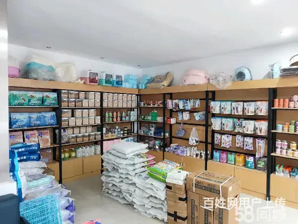 急转！邢台市桥东区南园路80平博爱宠物店 - 图片 2