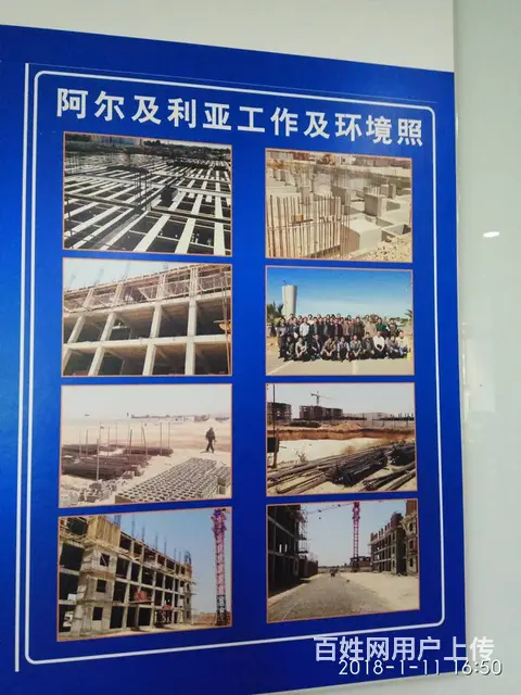 潍坊出国岗位安排- 加拿大以色列工厂- 货运司机 - 图片 1