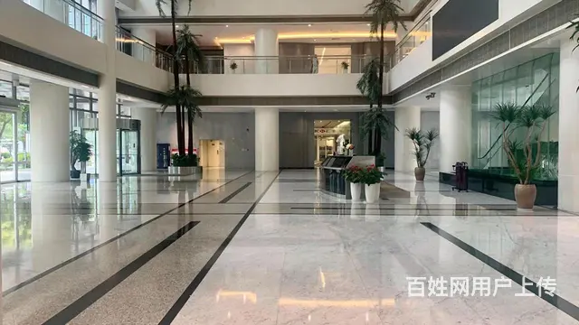 苏州旁 国际大厦 256 平年底特价 65 元 带家具 - 图片 4