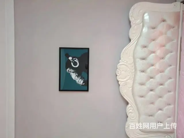 渠县土溪镇顺江街精装房出售 - 图片 9
