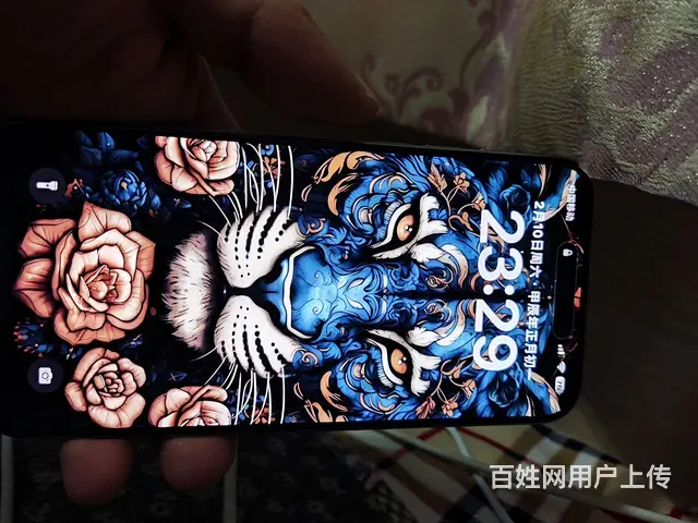 苹果15pm刚激活一天 - 图片 1