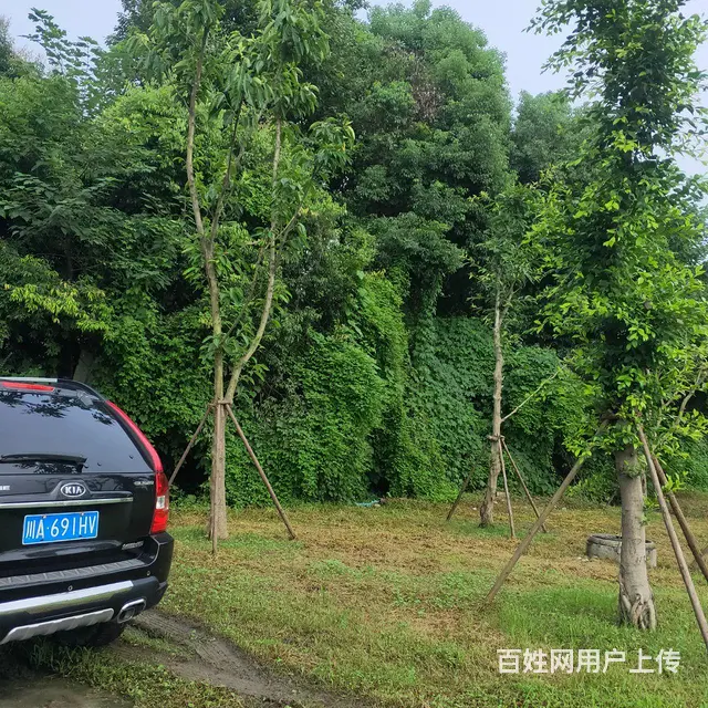 土地带房整租 - 图片 2