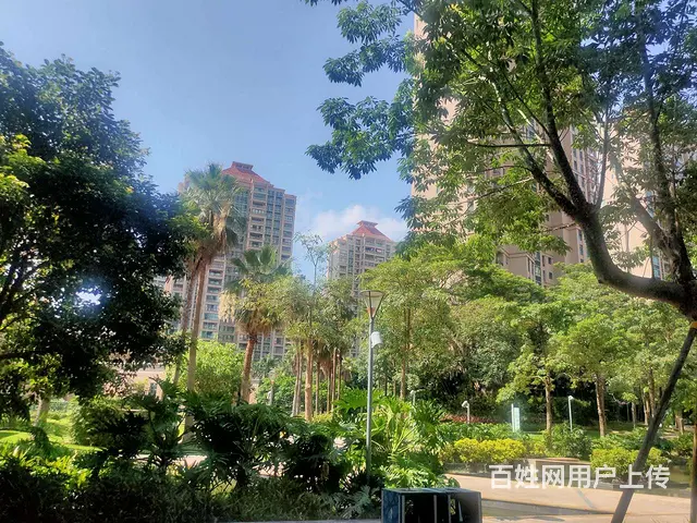 仁恒星园  精装修3房  南向单位  业主急售 - 图片 12