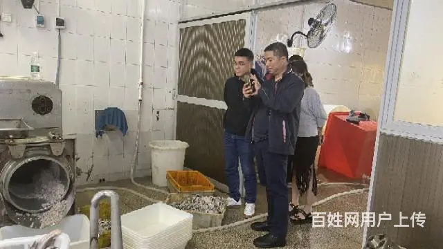 北海鳗鱼丸子马鲛鱼丸批发工厂批发 - 图片 2