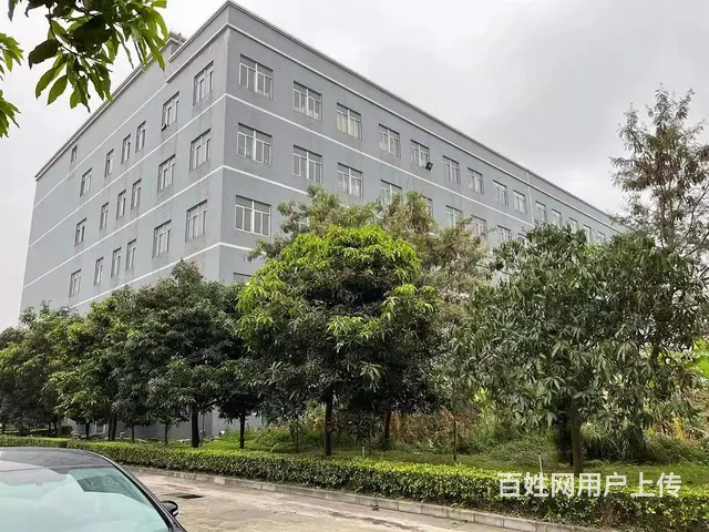 珠海金湾平沙厂房占地18亩独院厂房2100万 - 图片 4