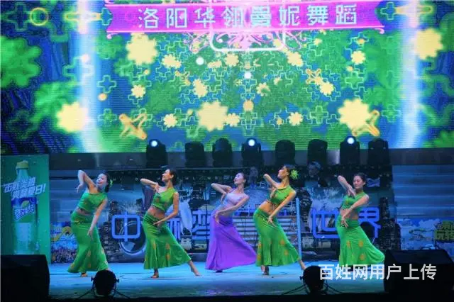 洛阳成年女性哪里学舞蹈 - 图片 4