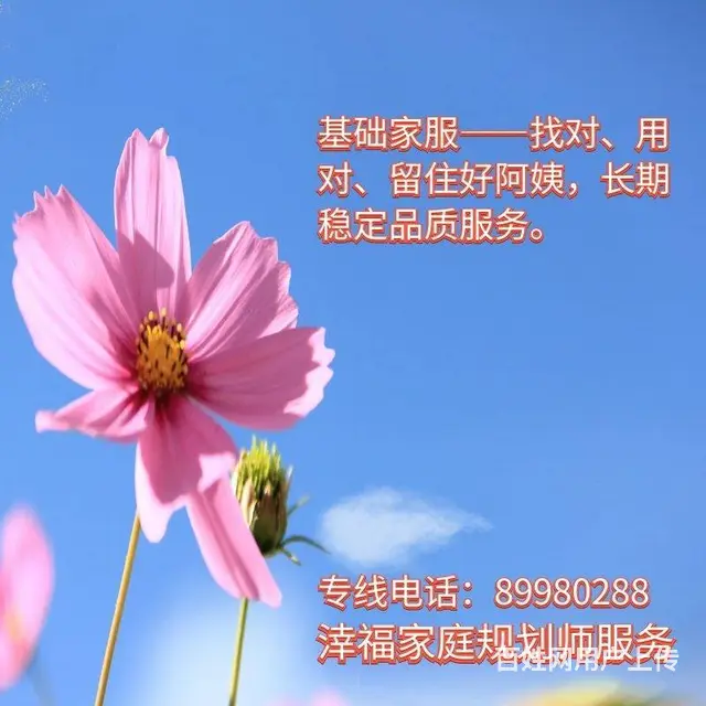 城西银泰固定计时工烧饭保洁接娃丽人东家好评可追溯 - 图片