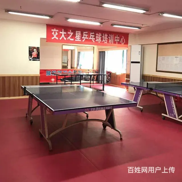 乒乓球场地出租 - 图片 1