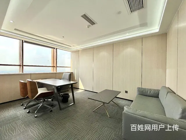 天际项目东方希望天祥广场精装写字楼出租随时看房 - 图片 3