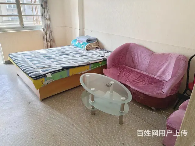 华茂小区一室一厅出租1000 - 图片 1