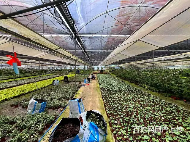 从化区吕田有15亩建设用地3000平方厂房整体转让 - 图片 8