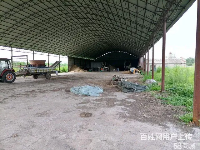 阿城蜚克图镇厂房出售 - 图片 1