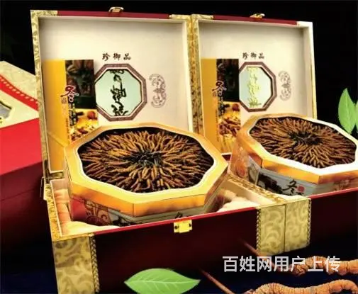 花都回收冬虫夏草店铺-花都发霉虫草专业回收 - 图片 11