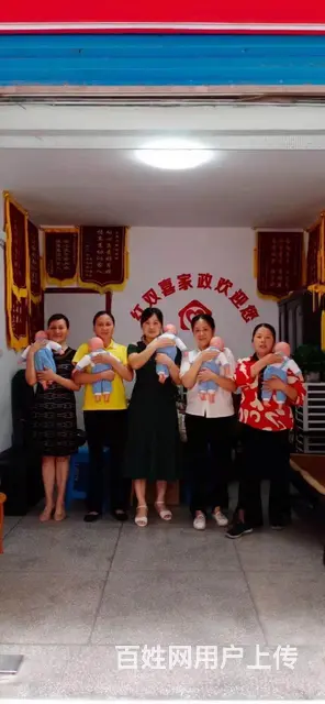 金牌家政提供保姆月嫂育婴师陪护保洁 - 图片 5