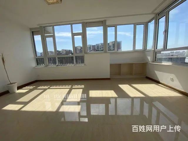 河东一中宏运凤凰新城一期金泰春天 - 图片 5