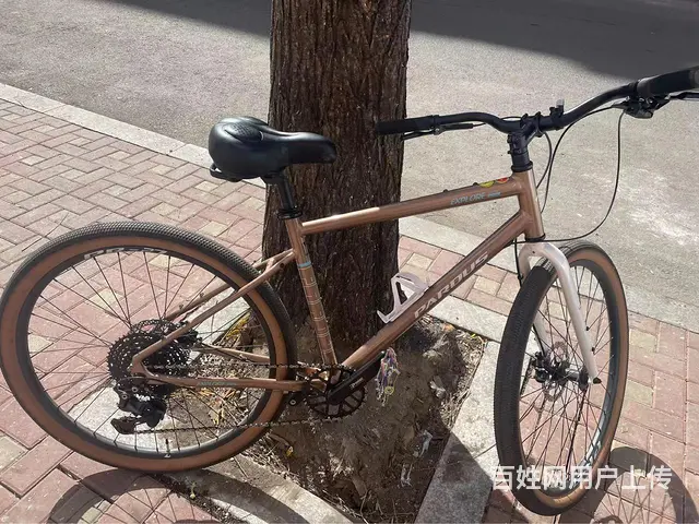 卖自行车 - 图片 7