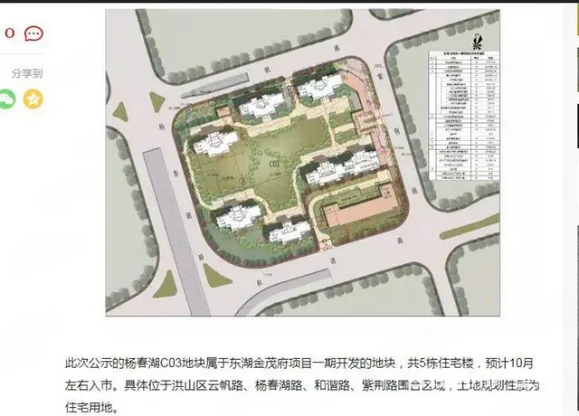 4号线武汉站杨春湖 东湖金茂府 华侨城 奶油风三房 - 图片 12