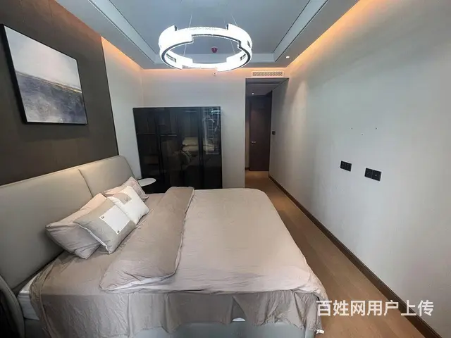 真房  降价租 SKP 汉街 融创 带衣帽间大浴缸 - 图片 8