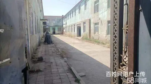 道里变兴路20路公交车终点厂房出租 - 图片 1