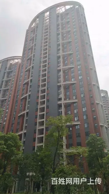岳家嘴 一居室 独门独户出租 中央空调供暖 有天然 - 图片 9