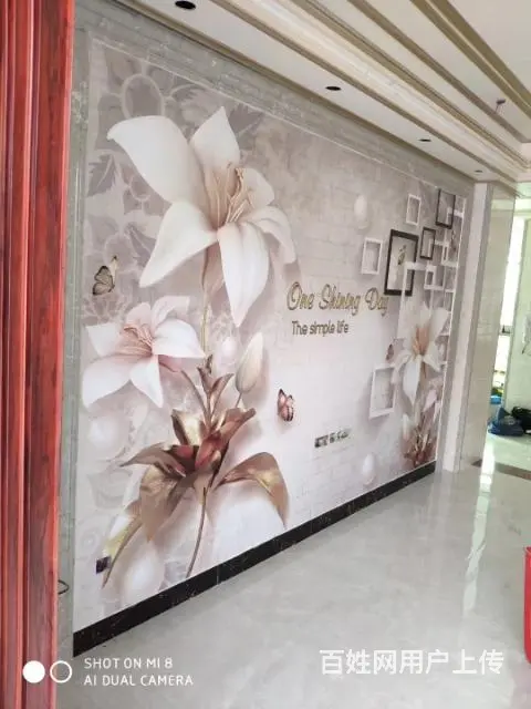 专业墙纸墙布施工队 - 图片 11
