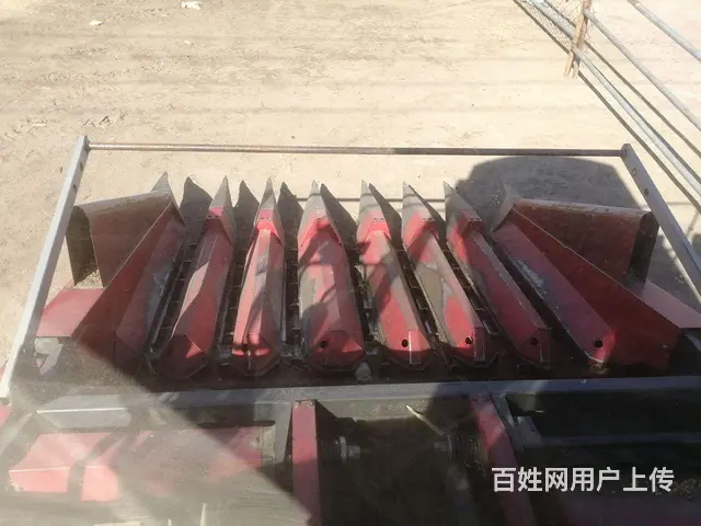 【搞定了！】出售15年新疆牧神小七 - 图片 1