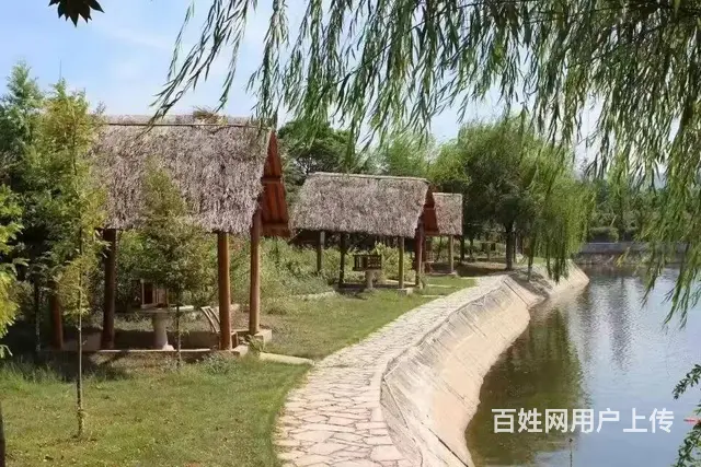 公司年会户外拓展游玩会议住宿零点团建 - 图片 5