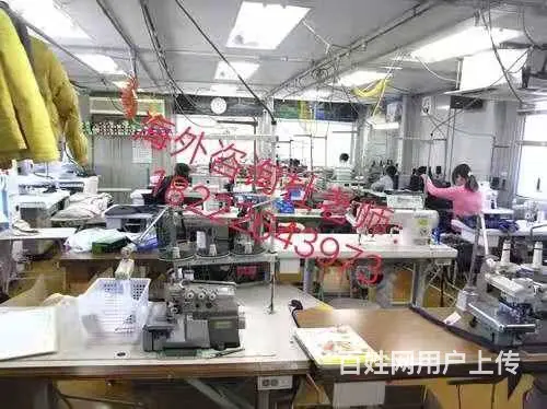 澳洲直招 （无费用）年薪60万华人雇主担保工签 - 图片 6
