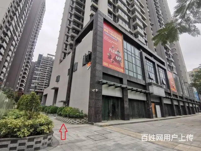 西区街道物业招租 - 图片 4