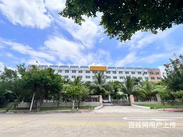 （51旺铺推荐）定安县19000平厂房招租 - 图片 1
