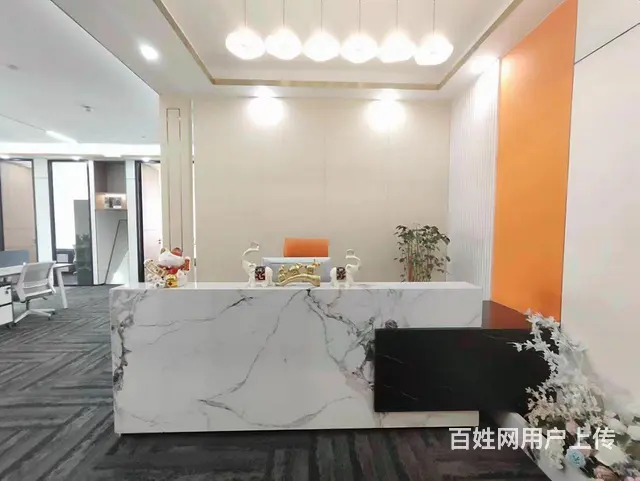 博览中心地铁口精装好房 家具齐全领包入住 电梯口户型 - 图片 4