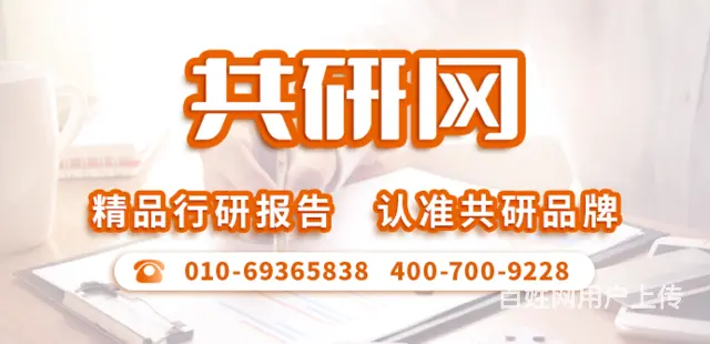 重庆市场调查共研网酒店商务酒店市场调研报告 - 图片 1