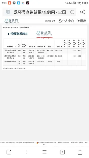 信鸽～幼鸽 - 图片 1