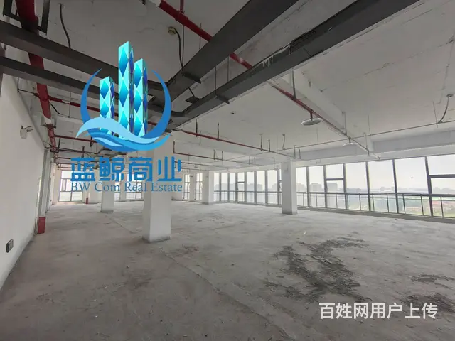 金龙湖旁软件园150到1000平纯办公一手现房 - 图片 10
