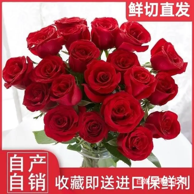 长期供应红玫瑰鲜花 - 图片 2