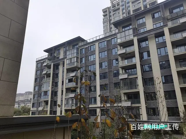 家主急售 亲老表家的房子 有事转卖 价格好谈 南北通透采光好 - 图片 1