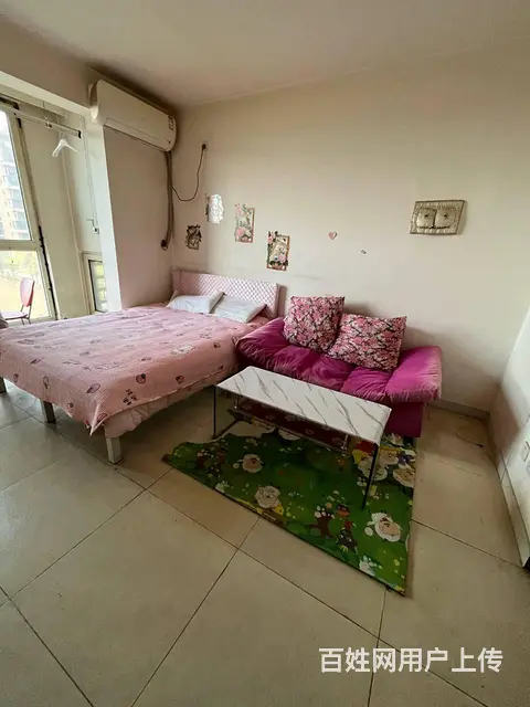丽都新城(铁西)(铁西) 普通住宅1厅 精装修 - 图片 3