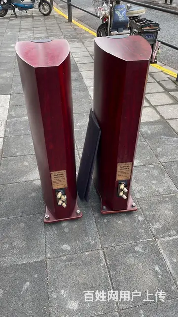 转让一对英国原装进口乐富豪旗舰级高端发烧音箱，实木 - 图片 5