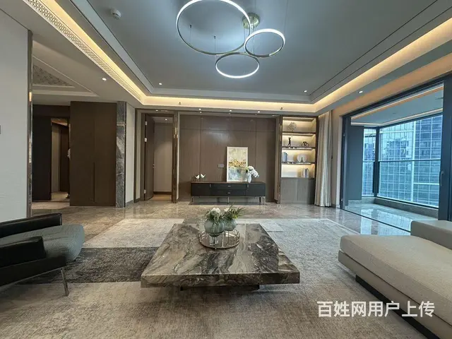 业主自住 今天退。省政府 水果湖 融创 居家自住4 - 图片 2