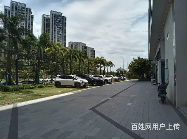 51旺铺推荐新埠岛碧桂园106平和夏日广场121平铺面出租 - 图片 3