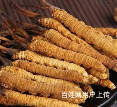 武进区回收各种礼品茅台五粮液国缘冬虫夏草 - 图片 2