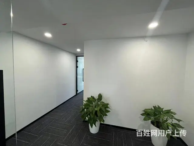 泰豪数娱中心，精装出租90至350方，loft平层大小都有！ - 图片 9
