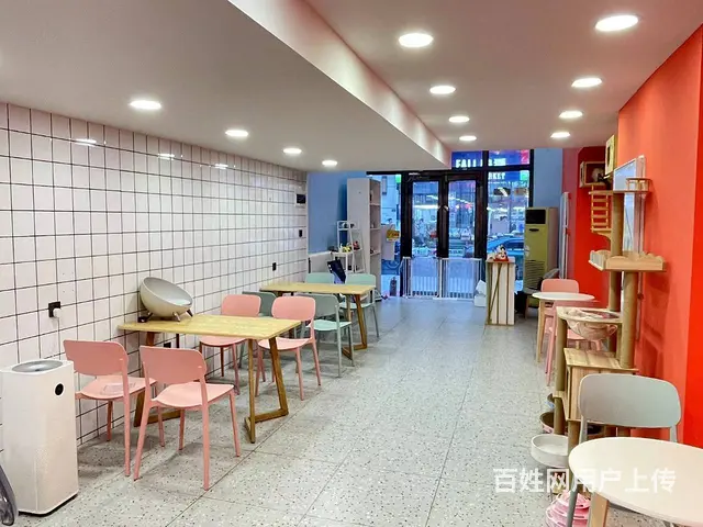 南岗 哈西万达金街商铺出兑 猫咖出兑 宠物店饮品店出兑 - 图片 2