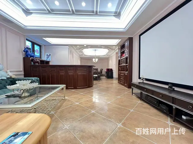 业主急售 碧水庄园三期拙墅 花园400米 豪华装修 双车库 - 图片 11