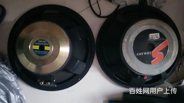 大喇叭进口15寸 铝合金骨架 - 图片 5