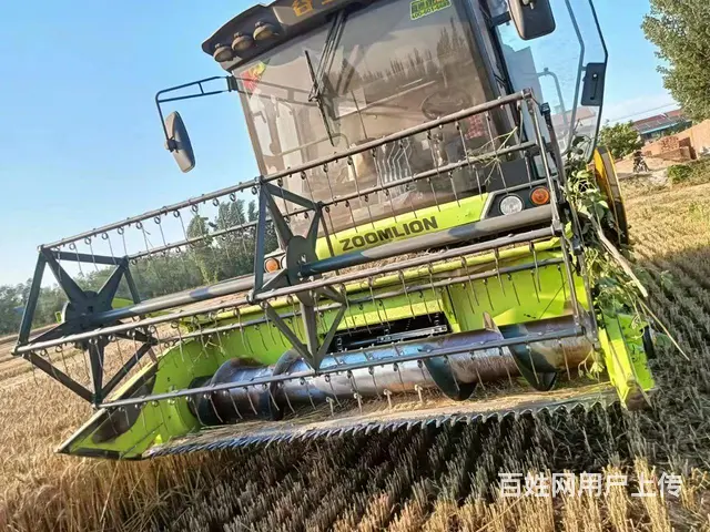 转让合作社谷王极光 - 图片 2