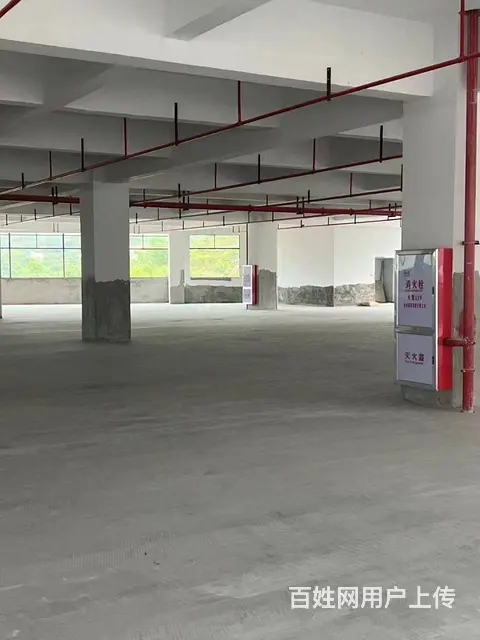 龙门镇2025产业园智造北路标准厂房 可分租可整租 - 图片 4