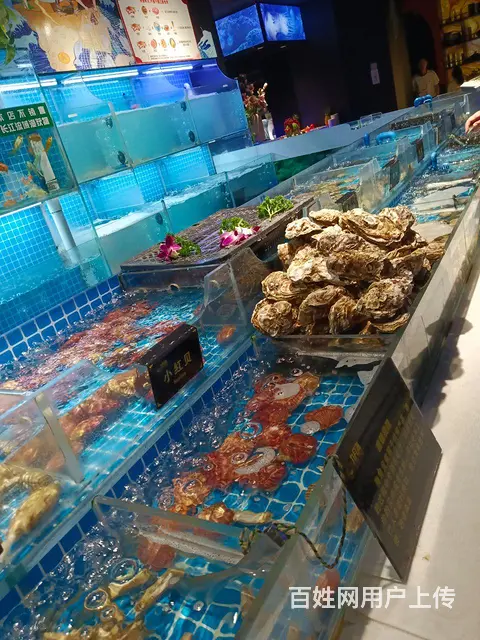 征婚 - 图片 1